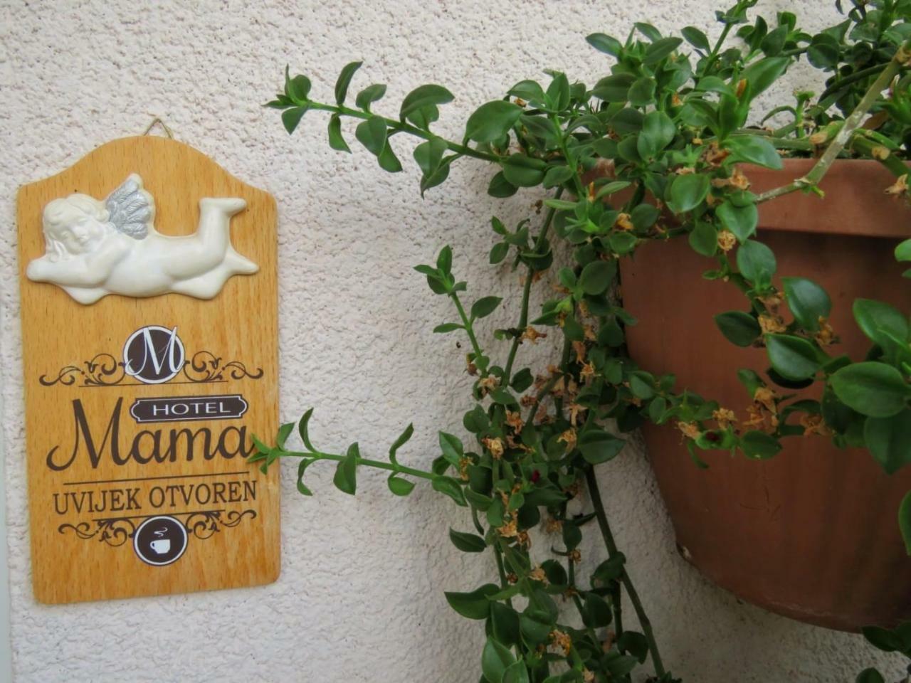 Vila Mozara Slano Exterior foto