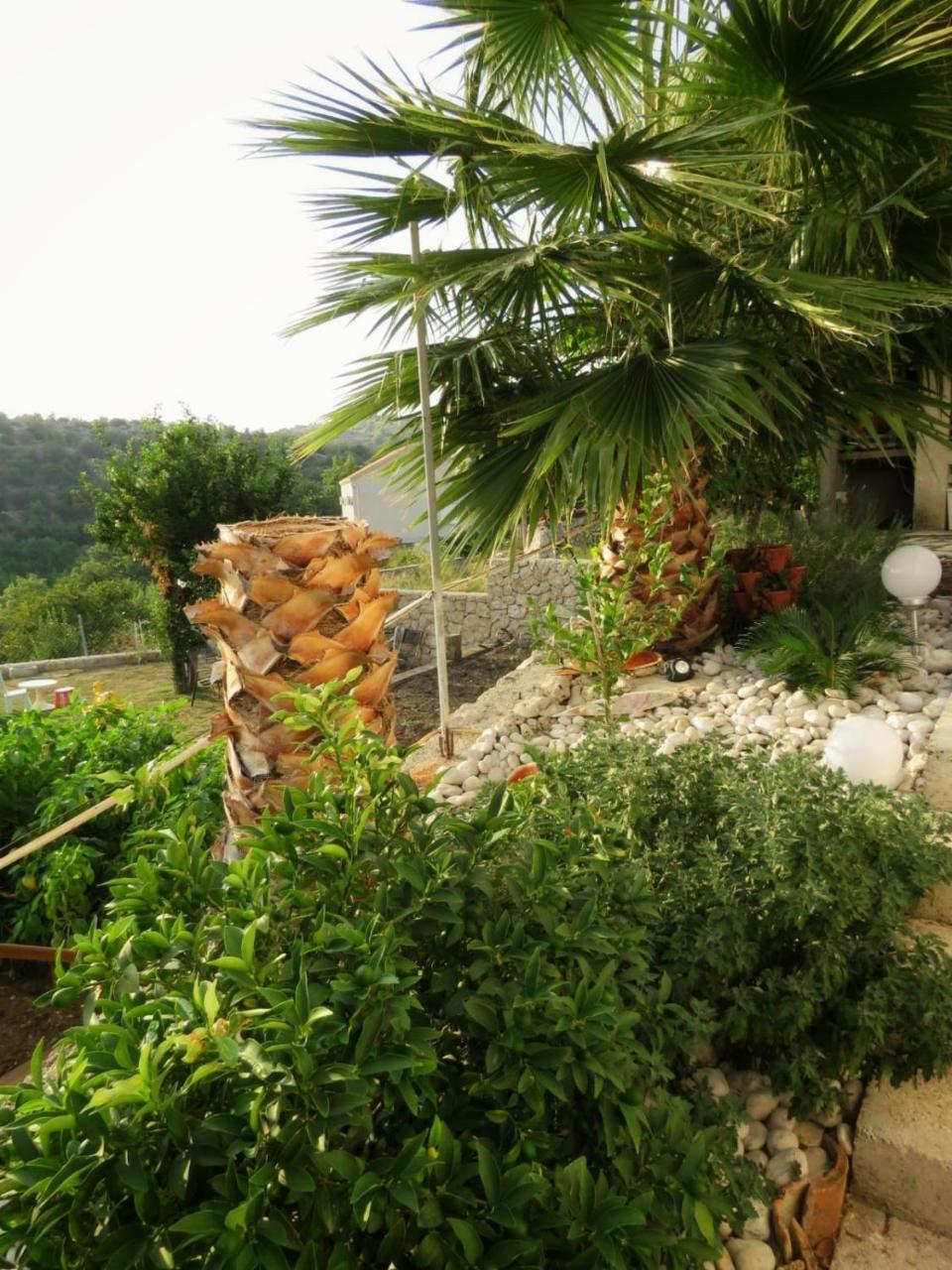Vila Mozara Slano Exterior foto